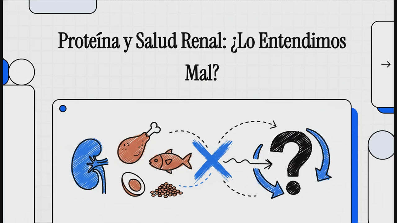 Cargar video: 